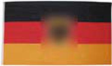 Deutschlandflagge mit Wappen