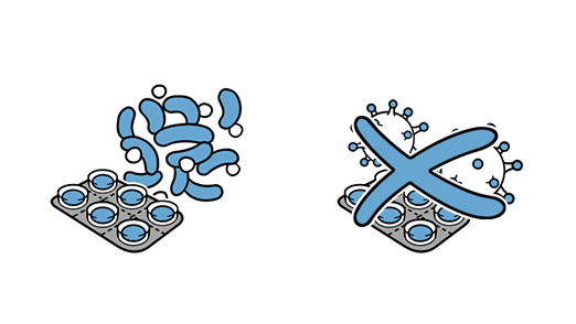 Amoxicillin zu früh abgesetzt
