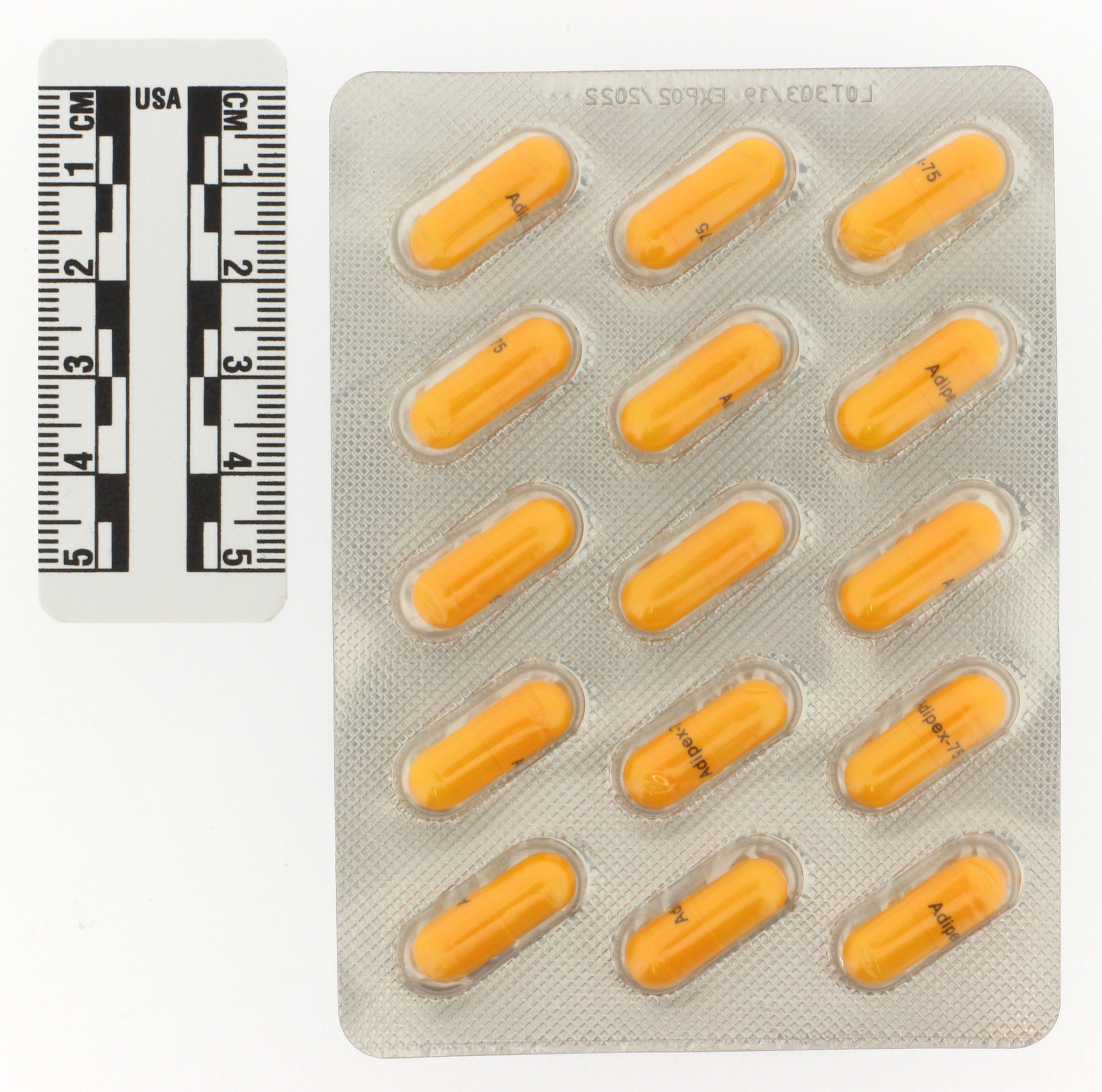 Adipex p tabletten