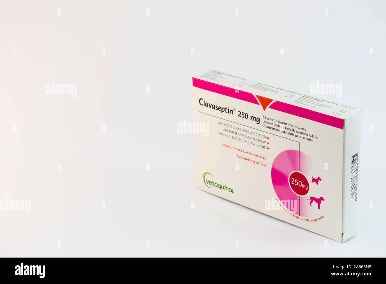 Antibiotika katze amoxicillin kaufen