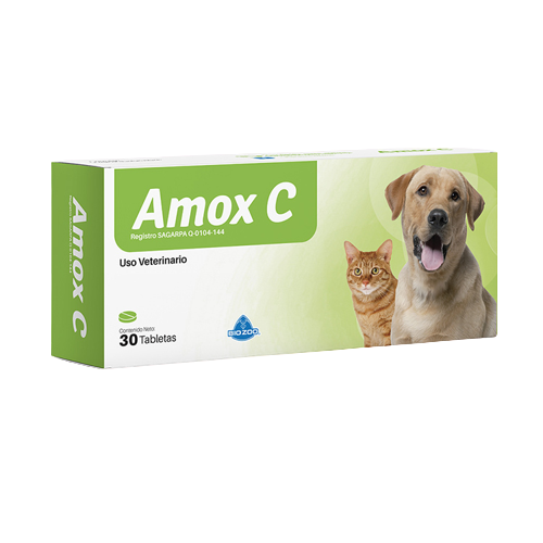 Amoxicillin für den hund