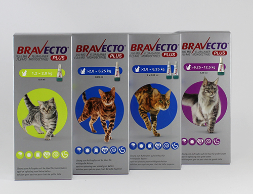Amoxicillin Clavulansäure Für Katzen