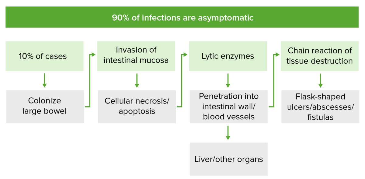 Amoxibeta generika