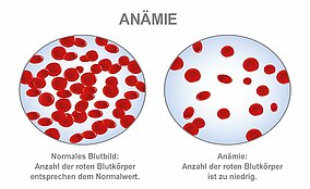 Amoxibeta kaufen deutschland