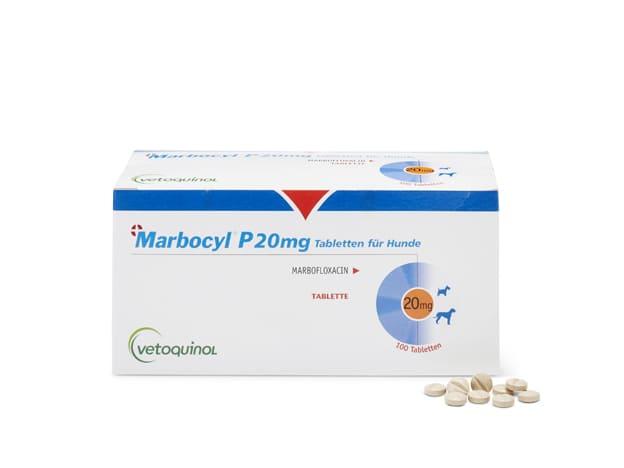 Amoxicillin tabletten hund