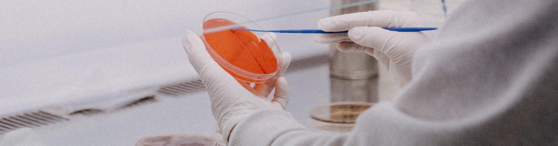 Cialis generika schweiz kaufen
